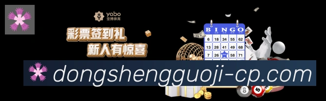 东升国际棋牌荣誉