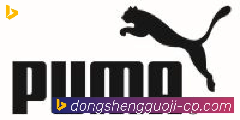 东升国际棋牌合作伙伴